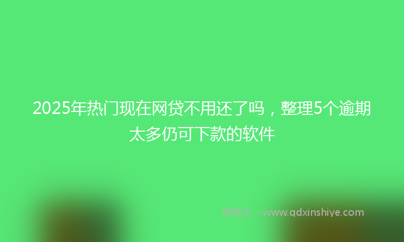 2025年热门现在网贷不用还了吗，整理5个逾期太多仍可下款的软件