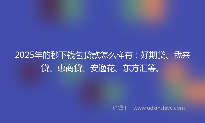 2025年的秒下钱包贷款怎么样有：好期贷、我来贷、惠商贷、安逸花、东方汇等。