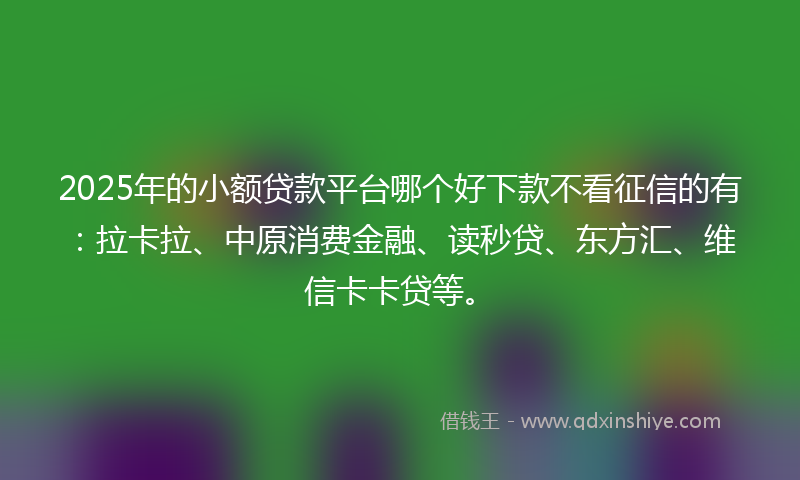 2025年的小额贷款平台哪个好下款不看征信的有：拉卡拉、中原消费金融、读秒贷、东方汇、维信卡卡贷等。