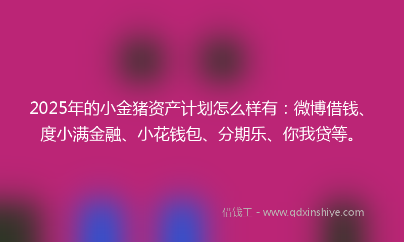 2025年的小金猪资产计划怎么样有：微博借钱、度小满金融、小花钱包、分期乐、你我贷等。