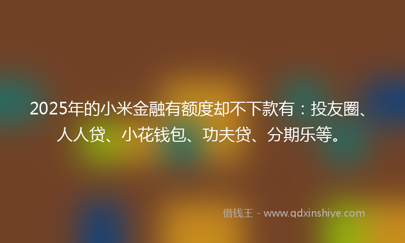 2025年的小米金融有额度却不下款有：投友圈、人人贷、小花钱包、功夫贷、分期乐等。