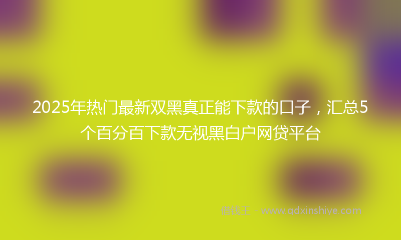 2025年热门最新双黑真正能下款的口子，汇总5个百分百下款无视黑白户网贷平台