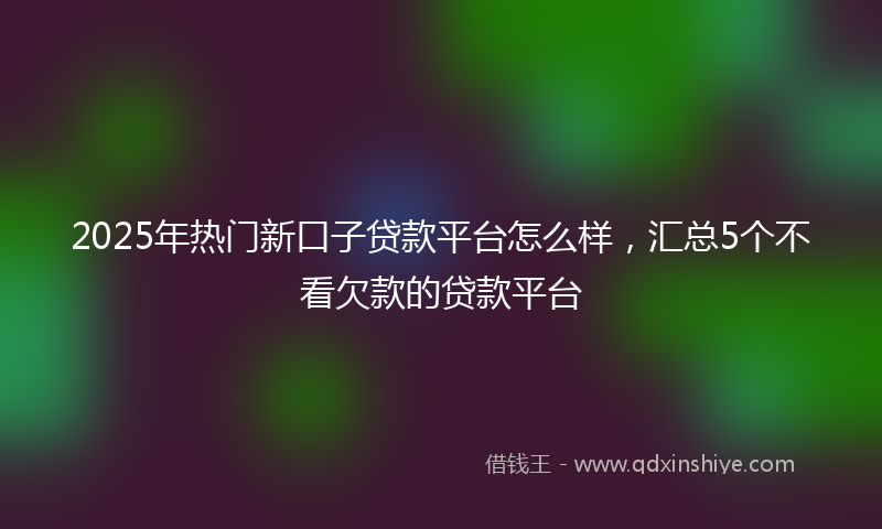 2025年热门新口子贷款平台怎么样，汇总5个不看欠款的贷款平台