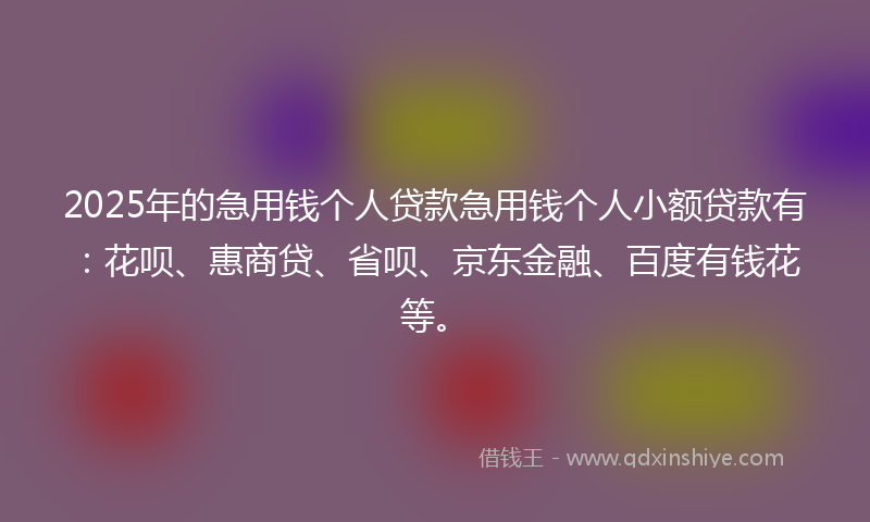 2025年的急用钱个人贷款急用钱个人小额贷款有：花呗、惠商贷、省呗、京东金融、百度有钱花等。