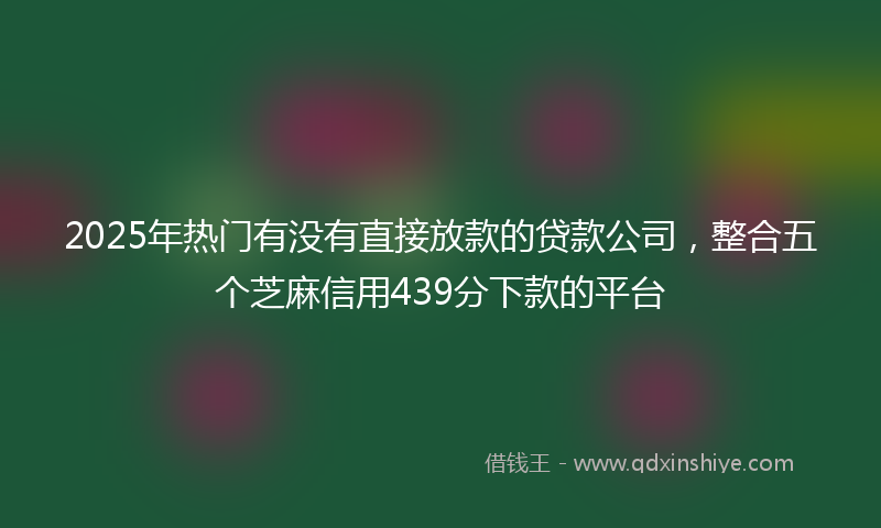 2025年热门有没有直接放款的贷款公司，整合五个芝麻信用439分下款的平台