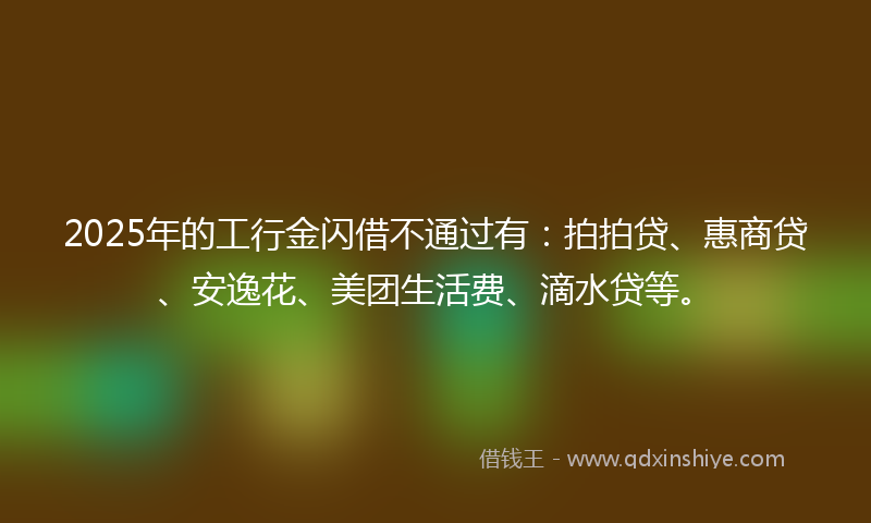 2025年的工行金闪借不通过有：拍拍贷、惠商贷、安逸花、美团生活费、滴水贷等。