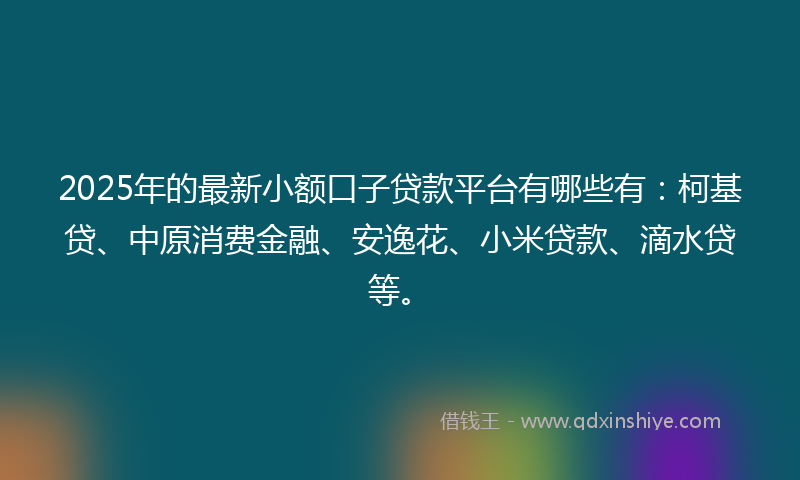 2025年的最新小额口子贷款平台有哪些有：柯基贷、中原消费金融、安逸花、小米贷款、滴水贷等。