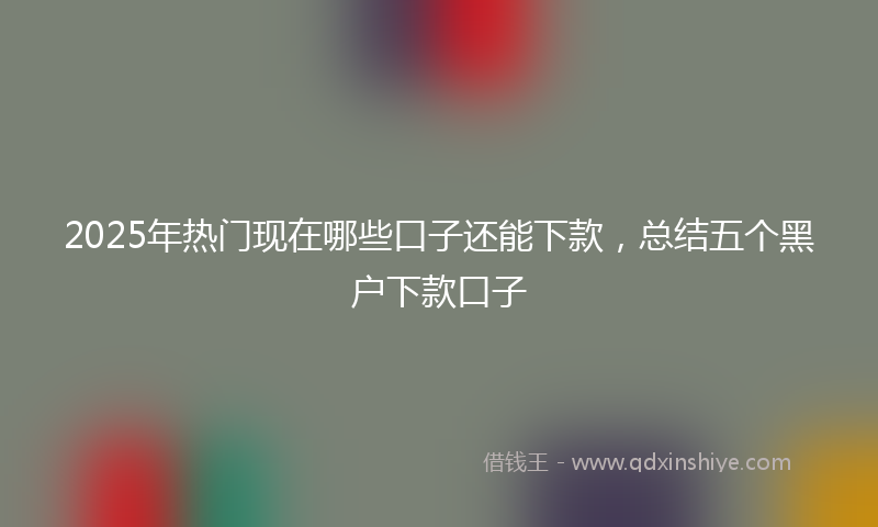 2025年热门现在哪些口子还能下款，总结五个黑户下款口子