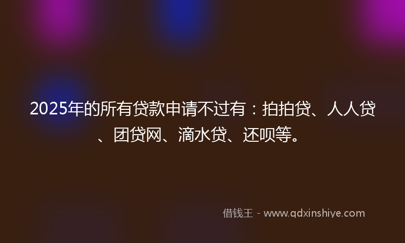 2025年的所有贷款申请不过有：拍拍贷、人人贷、团贷网、滴水贷、还呗等。