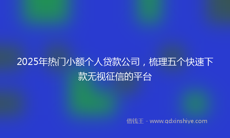 2025年热门小额个人贷款公司，梳理五个快速下款无视征信的平台
