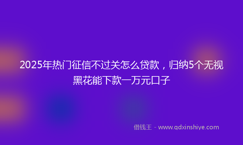 2025年热门征信不过关怎么贷款，归纳5个无视黑花能下款一万元口子