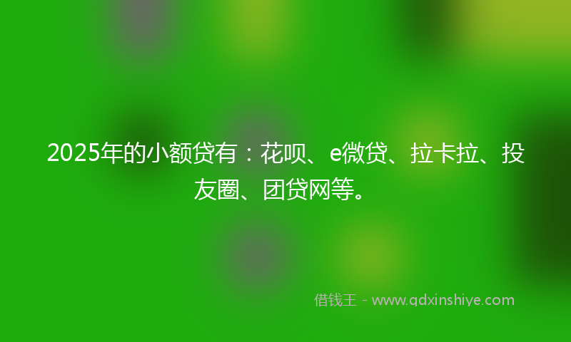 2025年的小额贷有：花呗、e微贷、拉卡拉、投友圈、团贷网等。