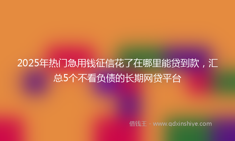 2025年热门急用钱征信花了在哪里能贷到款，汇总5个不看负债的长期网贷平台