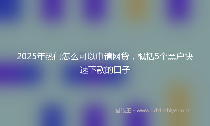2025年热门怎么可以申请网贷，概括5个黑户快速下款的口子