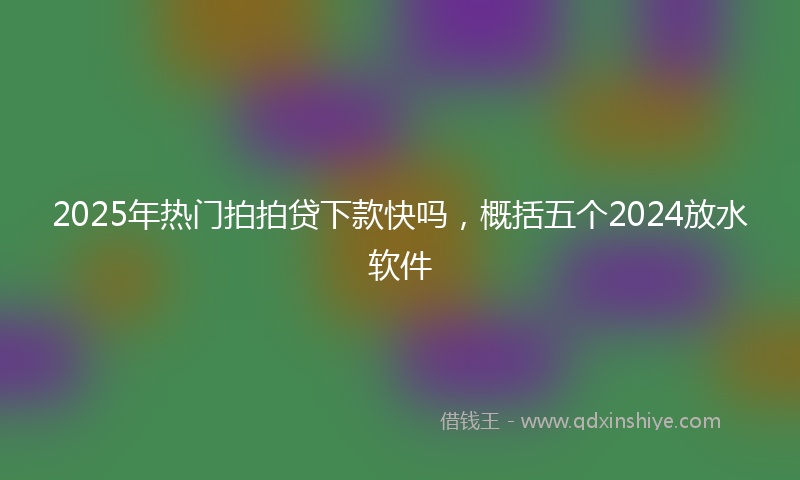 2025年热门拍拍贷下款快吗，概括五个2024放水软件