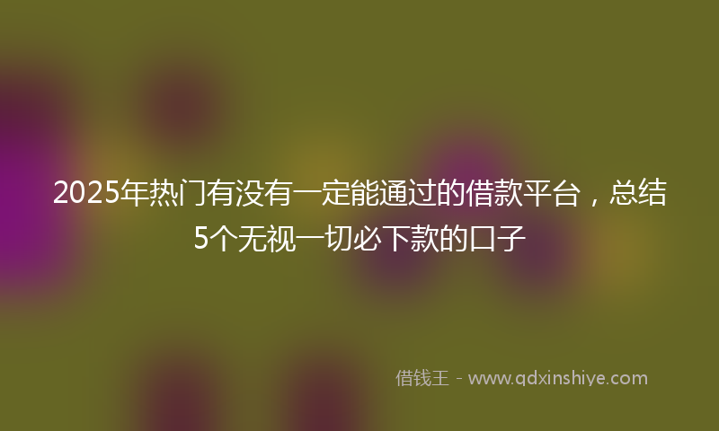 2025年热门有没有一定能通过的借款平台，总结5个无视一切必下款的口子
