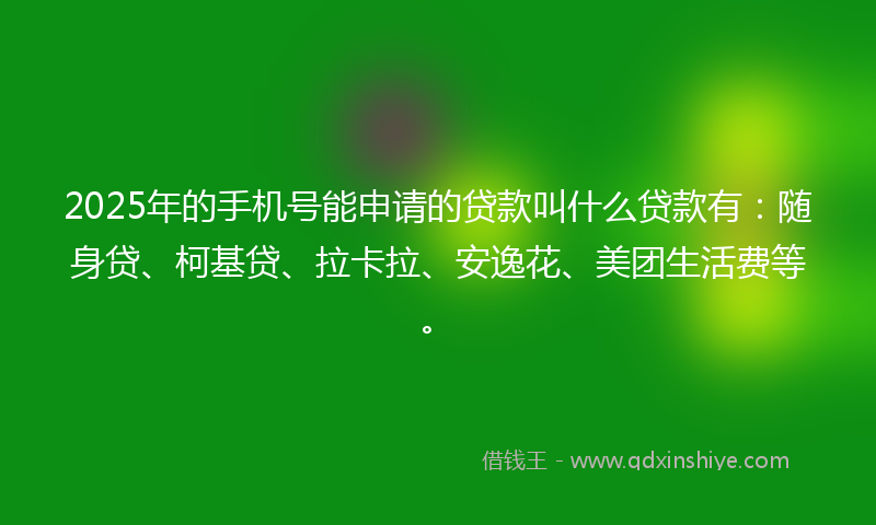 2025年的手机号能申请的贷款叫什么贷款有：随身贷、柯基贷、拉卡拉、安逸花、美团生活费等。