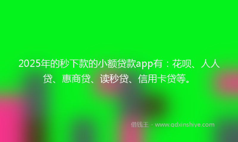 2025年的秒下款的小额贷款app有：花呗、人人贷、惠商贷、读秒贷、信用卡贷等。