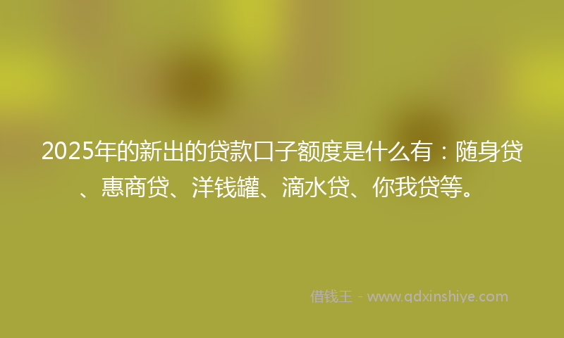 2025年的新出的贷款口子额度是什么有：随身贷、惠商贷、洋钱罐、滴水贷、你我贷等。