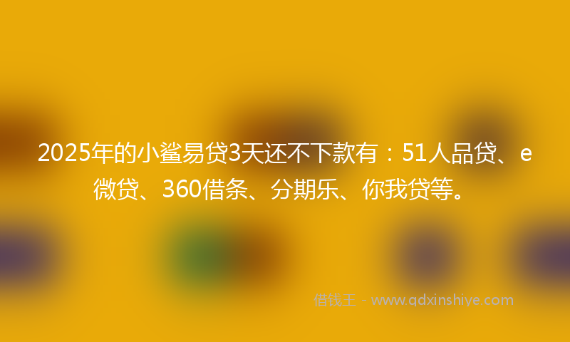 2025年的小鲨易贷3天还不下款有：51人品贷、e微贷、360借条、分期乐、你我贷等。
