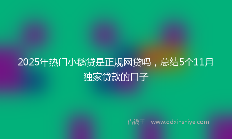 2025年热门小鹅贷是正规网贷吗，总结5个11月独家贷款的口子