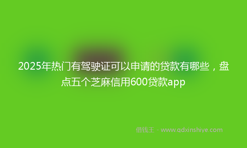 2025年热门有驾驶证可以申请的贷款有哪些，盘点五个芝麻信用600贷款app