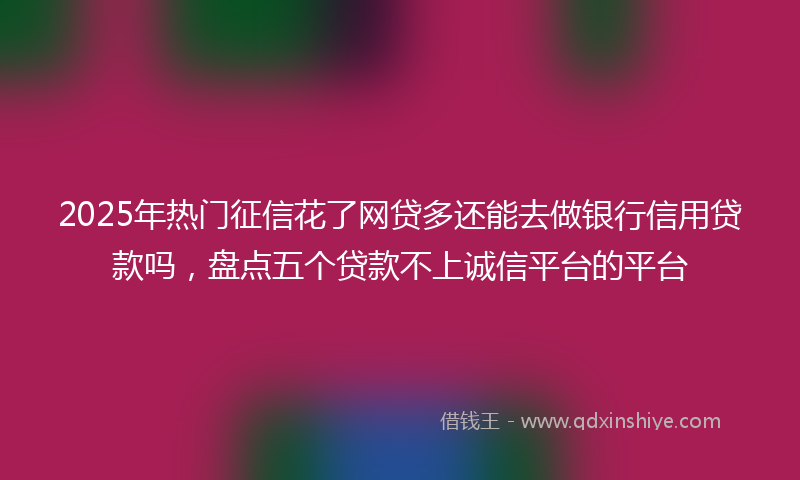 2025年热门征信花了网贷多还能去做银行信用贷款吗，盘点五个贷款不上诚信平台的平台