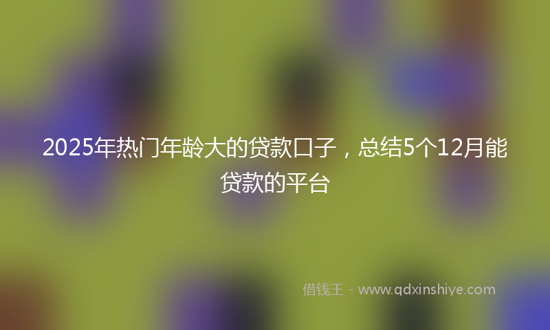2025年热门年龄大的贷款口子，总结5个12月能贷款的平台