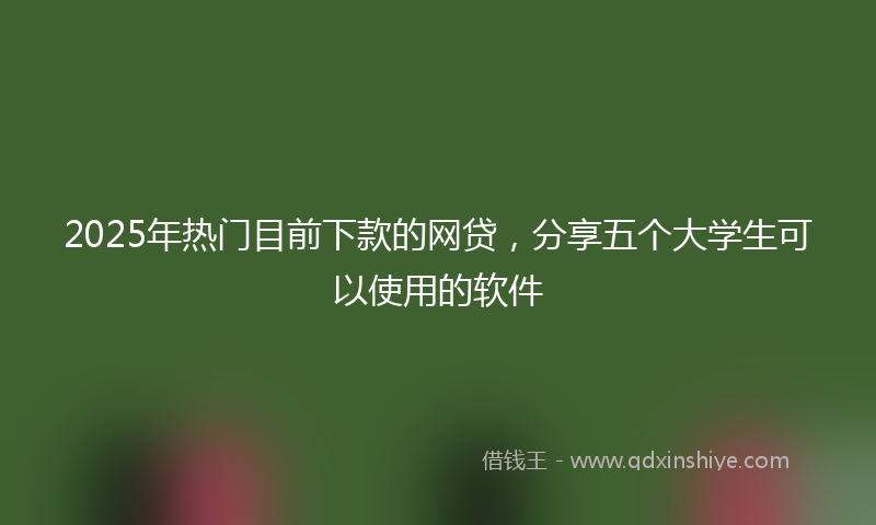 2025年热门目前下款的网贷，分享五个大学生可以使用的软件