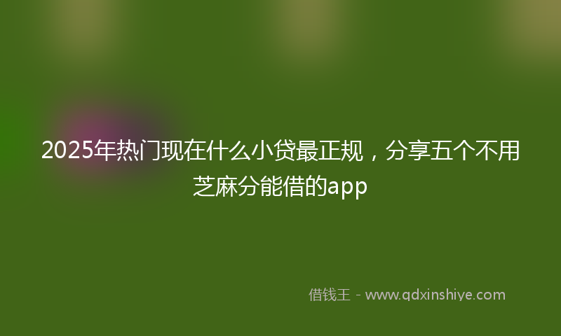 2025年热门现在什么小贷最正规，分享五个不用芝麻分能借的app