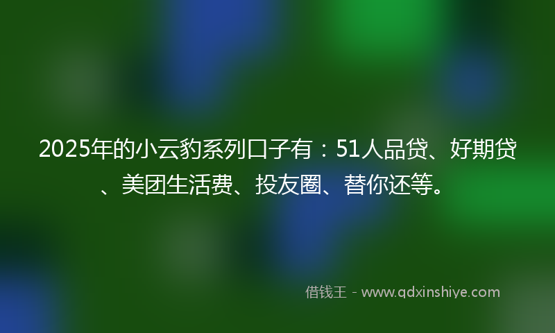 2025年的小云豹系列口子有：51人品贷、好期贷、美团生活费、投友圈、替你还等。