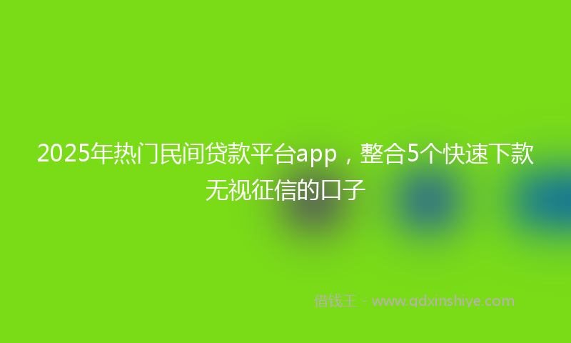 2025年热门民间贷款平台app，整合5个快速下款无视征信的口子