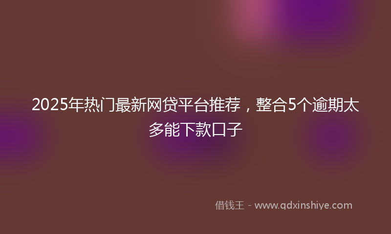 2025年热门最新网贷平台推荐，整合5个逾期太多能下款口子
