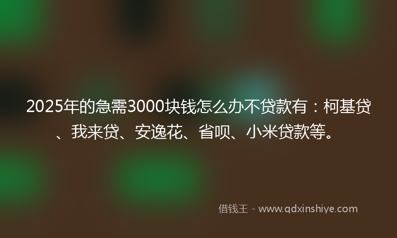 2025年的急需3000块钱怎么办不贷款有：柯基贷、我来贷、安逸花、省呗、小米贷款等。
