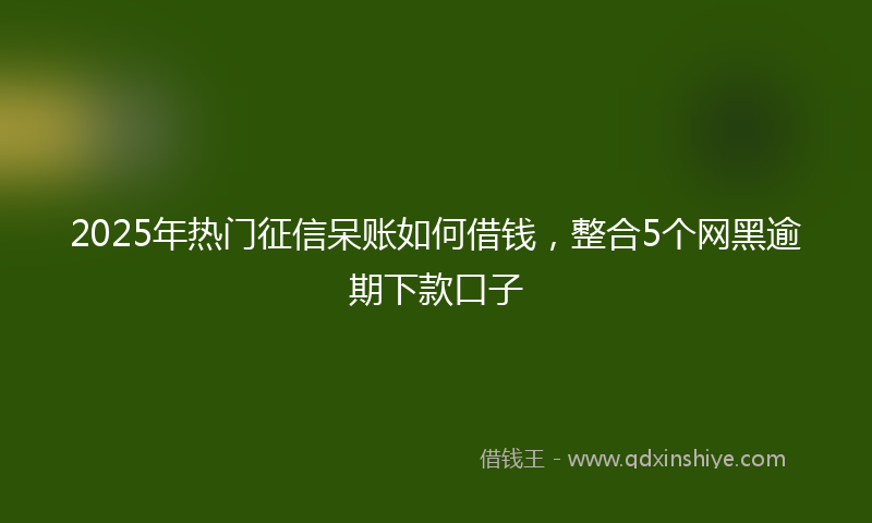 2025年热门征信呆账如何借钱，整合5个网黑逾期下款口子