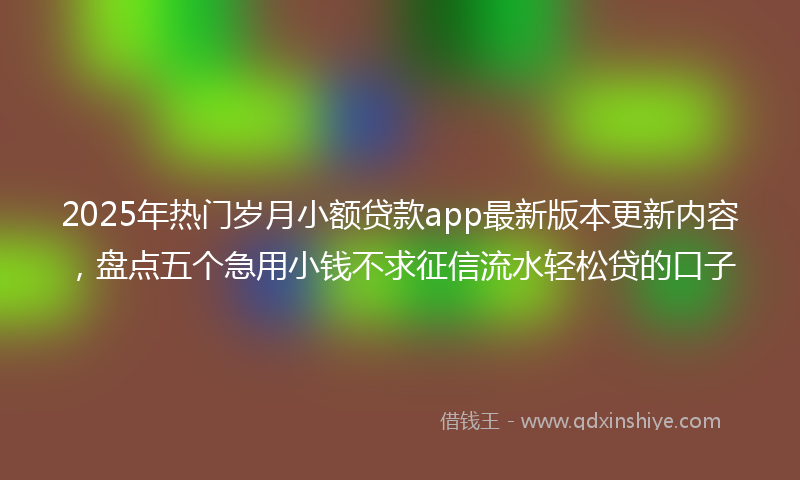 2025年热门岁月小额贷款app最新版本更新内容，盘点五个急用小钱不求征信流水轻松贷的口子