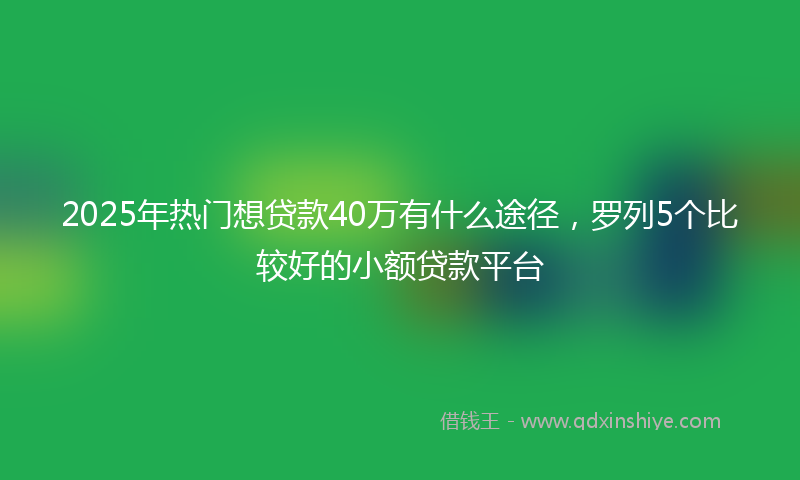 2025年热门想贷款40万有什么途径，罗列5个比较好的小额贷款平台