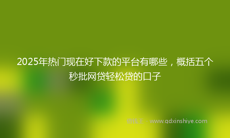 2025年热门现在好下款的平台有哪些，概括五个秒批网贷轻松贷的口子