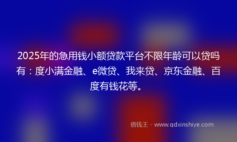 2025年的急用钱小额贷款平台不限年龄可以贷吗有：度小满金融、e微贷、我来贷、京东金融、百度有钱花等。