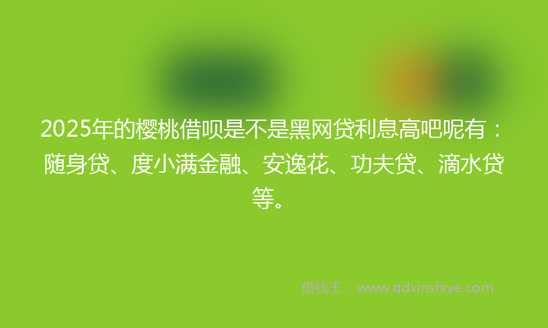 2025年的樱桃借呗是不是黑网贷利息高吧呢有：随身贷、度小满金融、安逸花、功夫贷、滴水贷等。