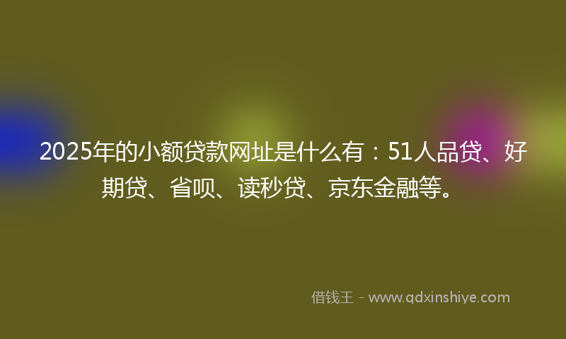 2025年的小额贷款网址是什么有：51人品贷、好期贷、省呗、读秒贷、京东金融等。