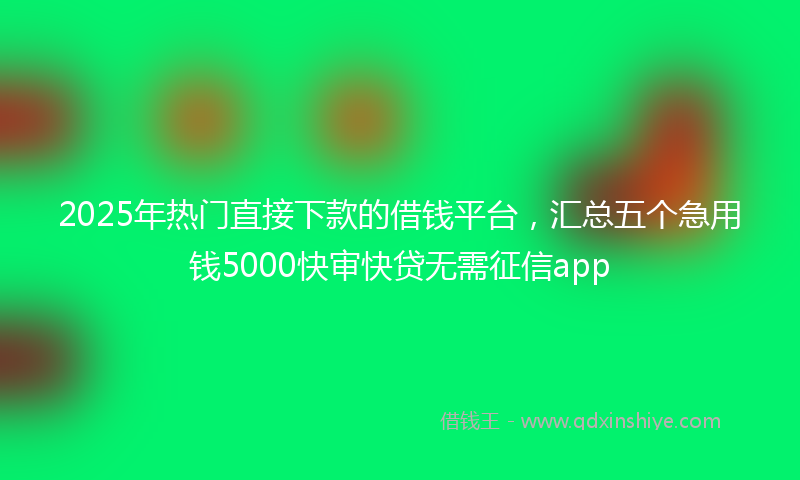 2025年热门直接下款的借钱平台，汇总五个急用钱5000快审快贷无需征信app