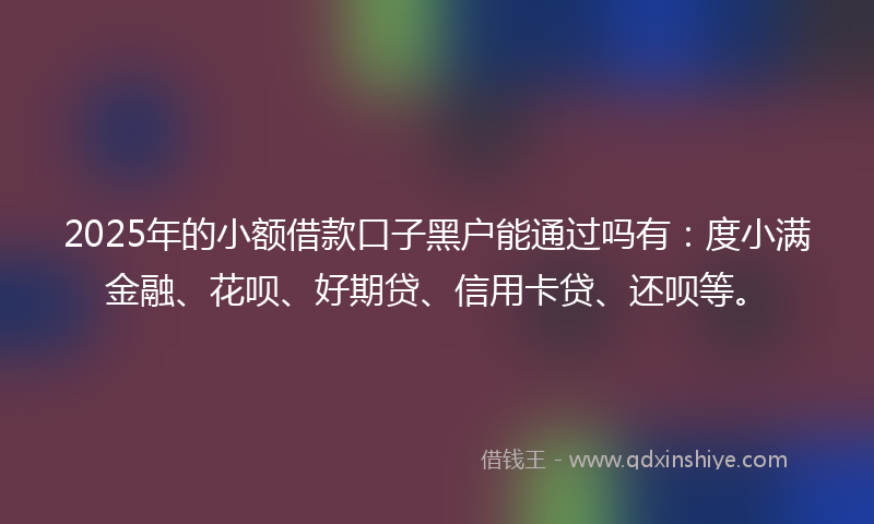 2025年的小额借款口子黑户能通过吗有：度小满金融、花呗、好期贷、信用卡贷、还呗等。