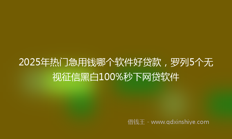 2025年热门急用钱哪个软件好贷款，罗列5个无视征信黑白100%秒下网贷软件