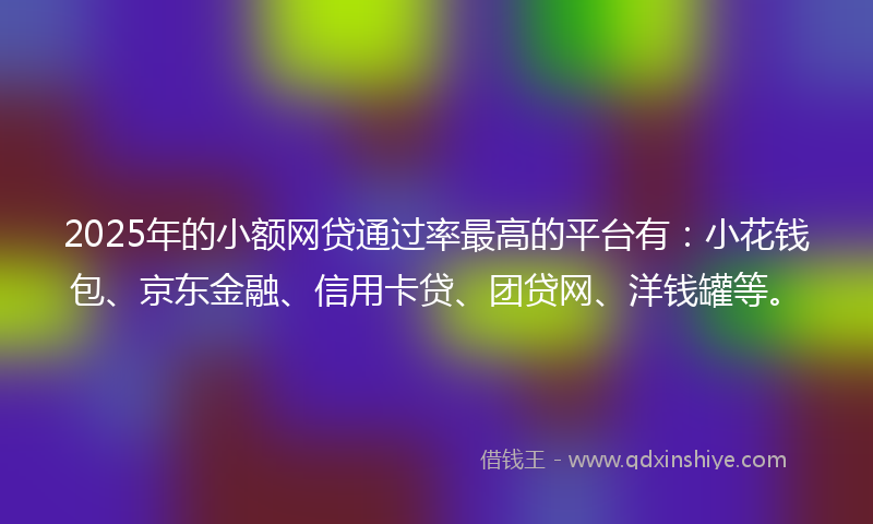2025年的小额网贷通过率最高的平台有：小花钱包、京东金融、信用卡贷、团贷网、洋钱罐等。