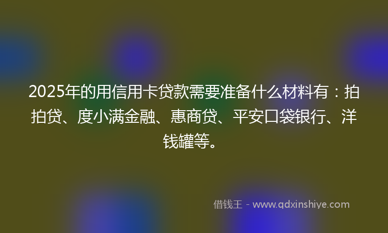 2025年的用信用卡贷款需要准备什么材料有：拍拍贷、度小满金融、惠商贷、平安口袋银行、洋钱罐等。