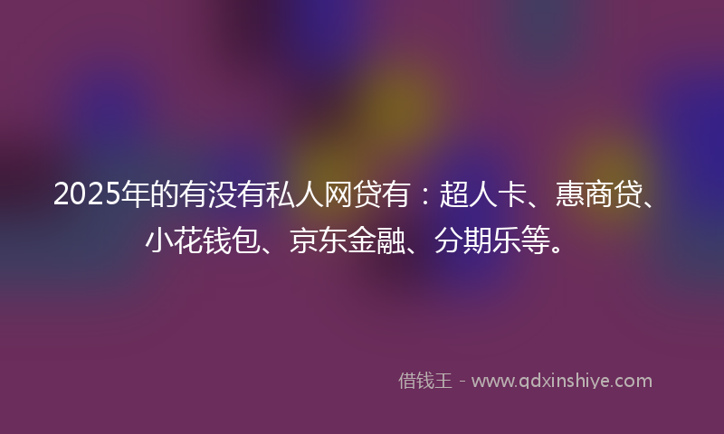 2025年的有没有私人网贷有：超人卡、惠商贷、小花钱包、京东金融、分期乐等。