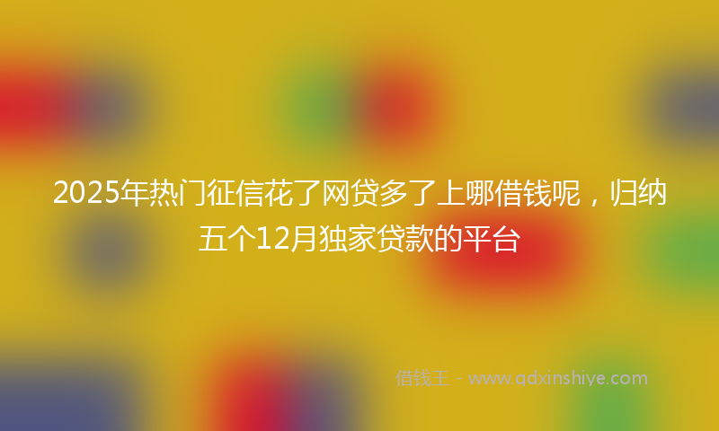 2025年热门征信花了网贷多了上哪借钱呢，归纳五个12月独家贷款的平台