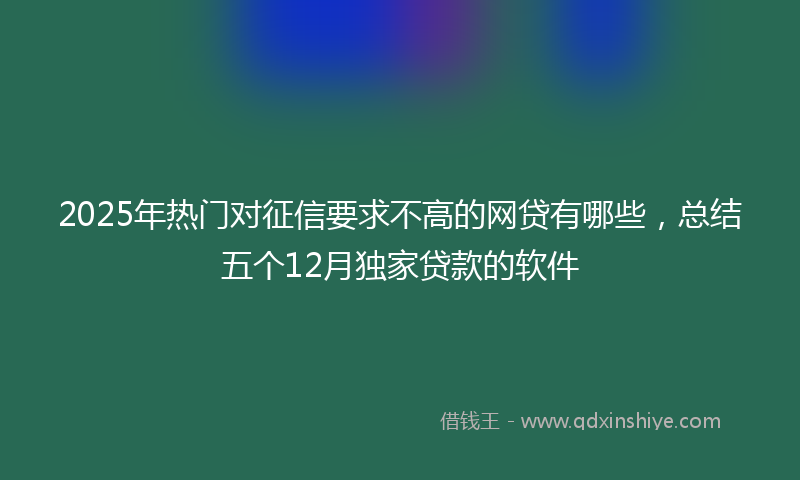 2025年热门对征信要求不高的网贷有哪些，总结五个12月独家贷款的软件