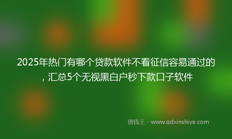 2025年热门有哪个贷款软件不看征信容易通过的，汇总5个无视黑白户秒下款口子软件